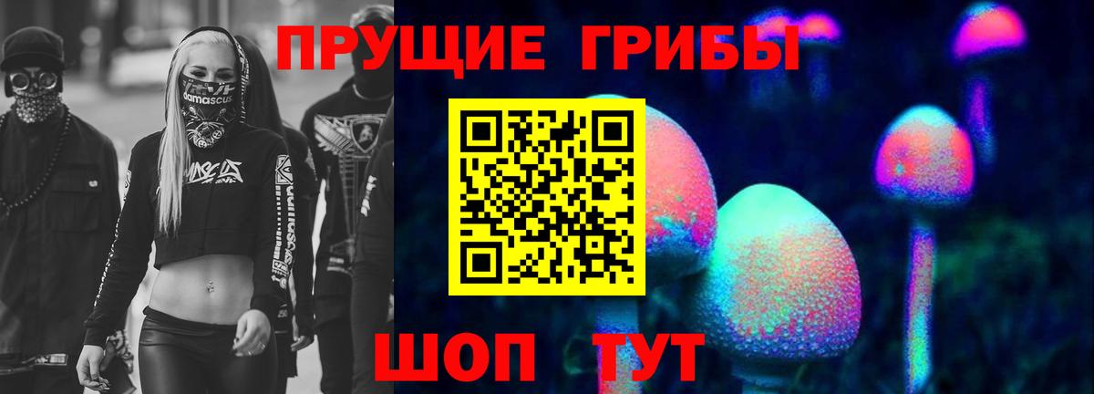 Псилоцибиновые грибы Cubensis  Вход с VPN  Воронеж 